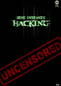 Seni internet hacking