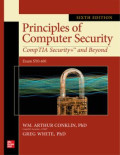 Principles of computer security : security+ and beyond