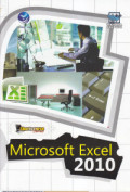 Shortcourse series: microsoft excel 2010