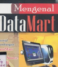Mengenal DataMart: tutorial membangun data mart dengan open source mbsql
